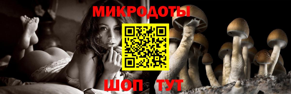 Галлюциногенные грибы мухоморы  Псилоцибиновые грибы мухоморы  Костомукша  Вход с VPN 